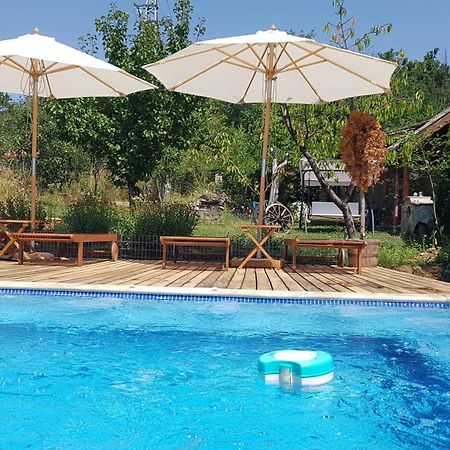 Къща За Гости Каза Роза - Swiss Style Chalet Casa Rosa Guest House Kyustendil Luaran gambar