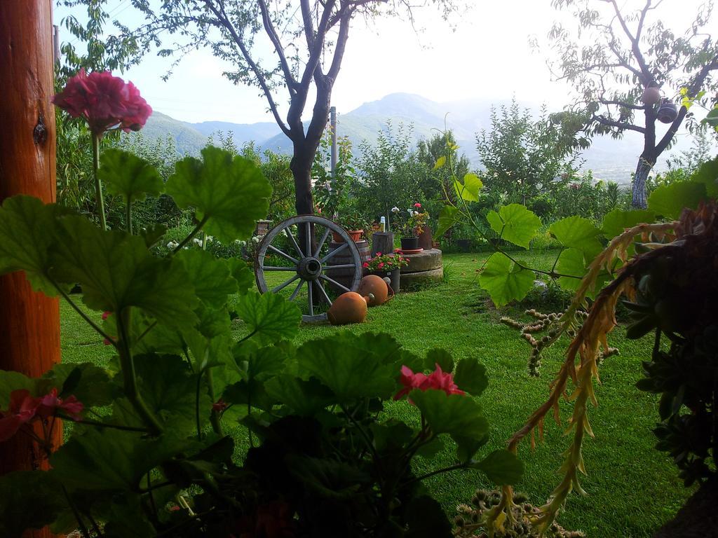 Къща За Гости Каза Роза - Swiss Style Chalet Casa Rosa Guest House Kyustendil Bilik gambar