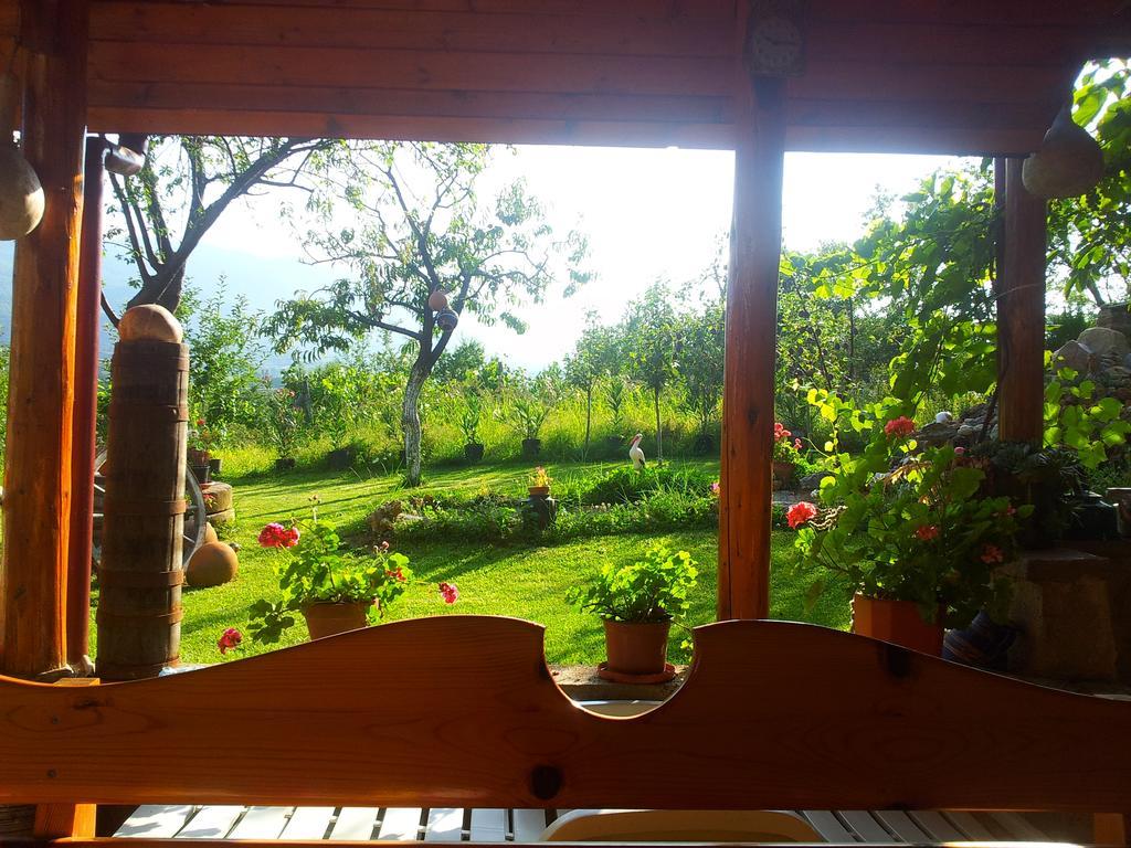 Къща За Гости Каза Роза - Swiss Style Chalet Casa Rosa Guest House Kyustendil Bilik gambar