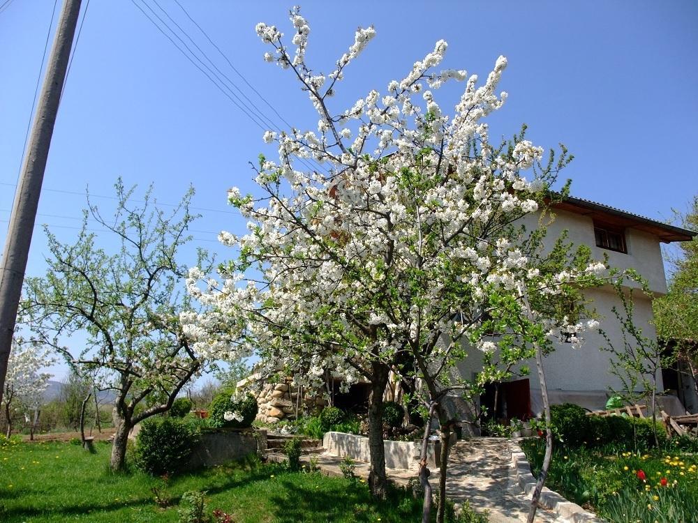 Къща За Гости Каза Роза - Swiss Style Chalet Casa Rosa Guest House Kyustendil Bilik gambar